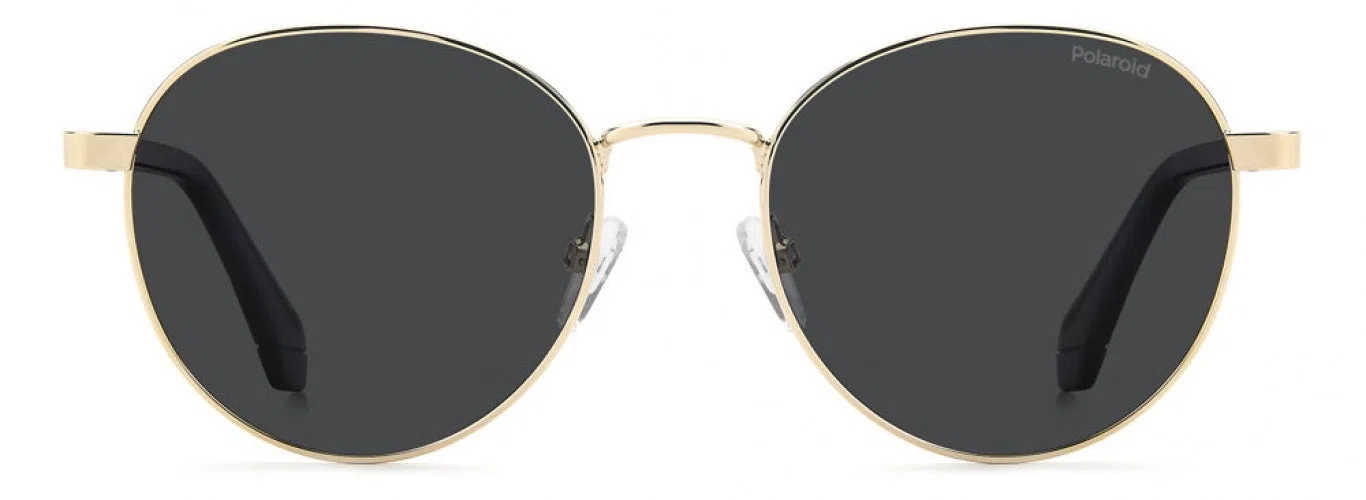 Polaroid Core PLD4197 Sunglasses - view 2